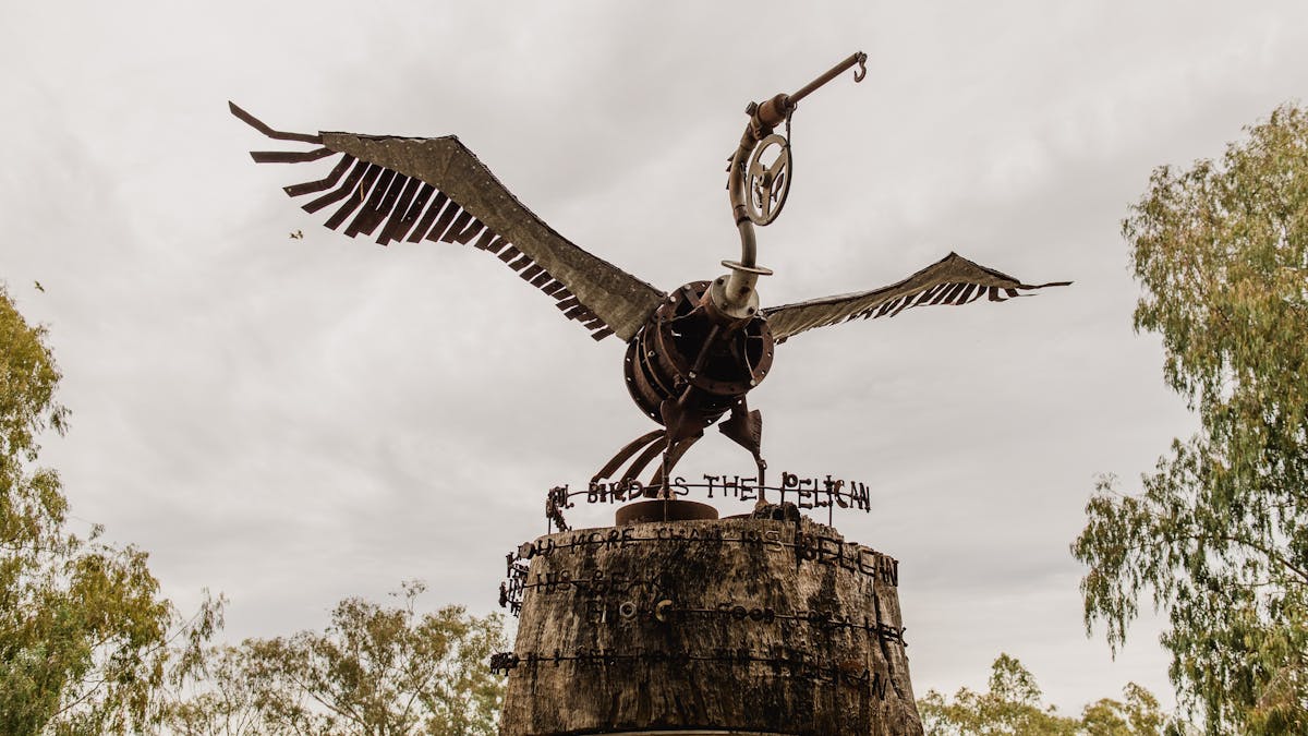 A Wonderful Bird is the Pelican