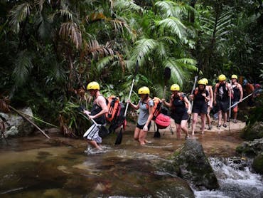 Rainforest walk to the river