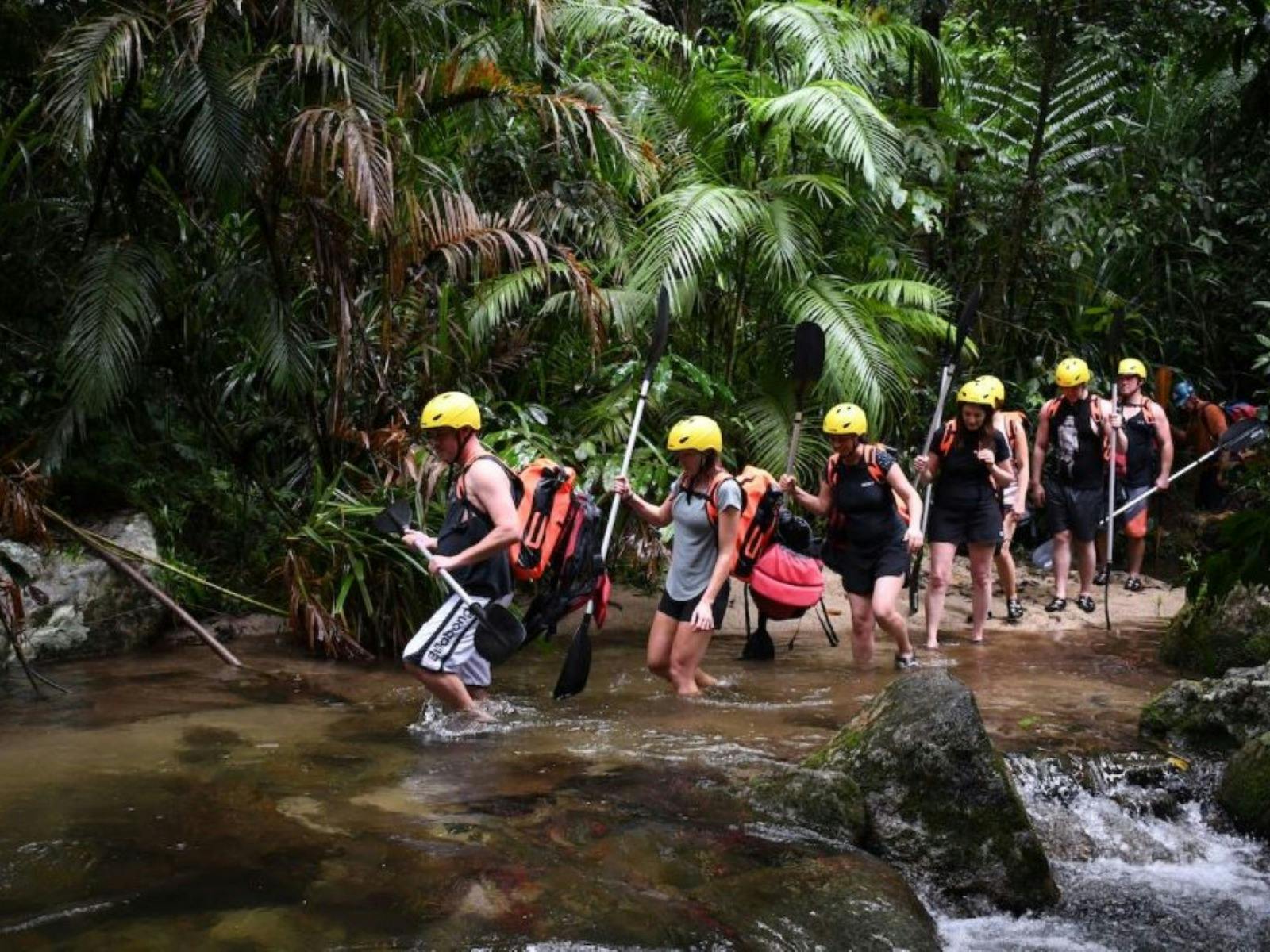 Rainforest walk to the river Rainforest walk to the river