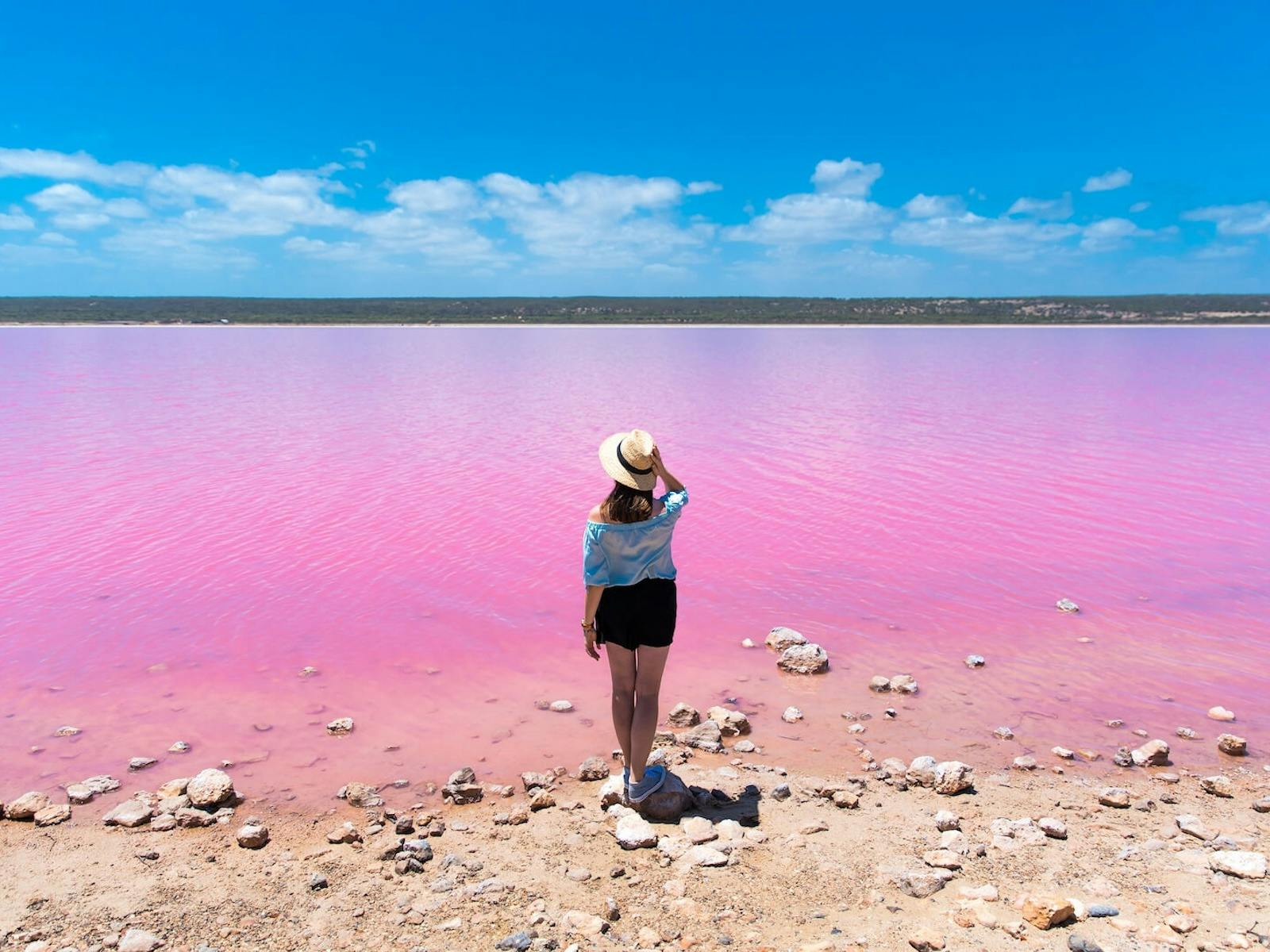 Pink Lake Western Australia