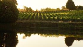 Pinot Block