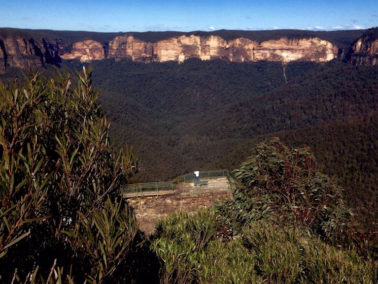 Blue Mountains Eco Tours