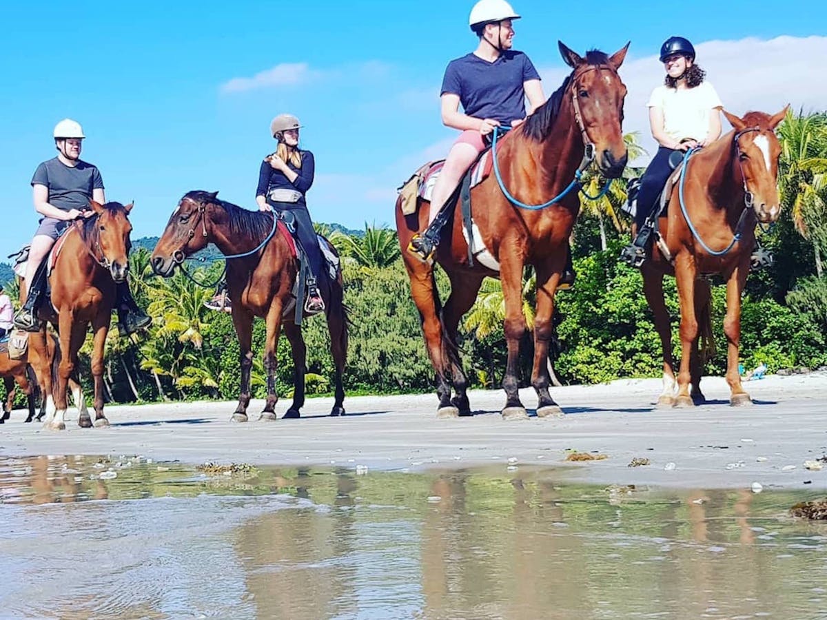 Cape Trib Horse Rides Tour Queensland