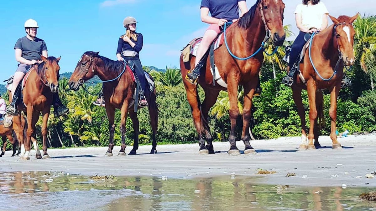 Cape Trib Horse Rides Beach Horse Ride Tour