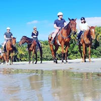 Cape Trib Horse Rides Beach Horse Ride Tour