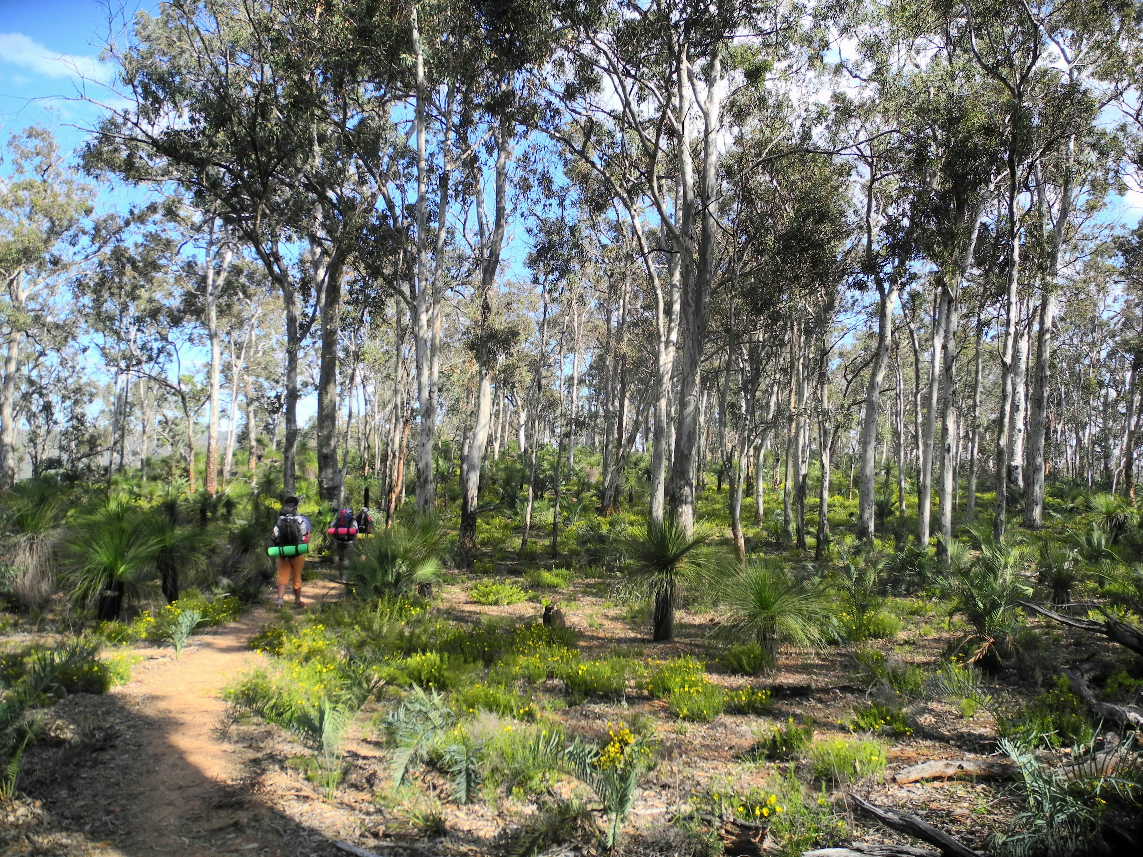 Bibbulmun Track, Kalamunda, Western Australia