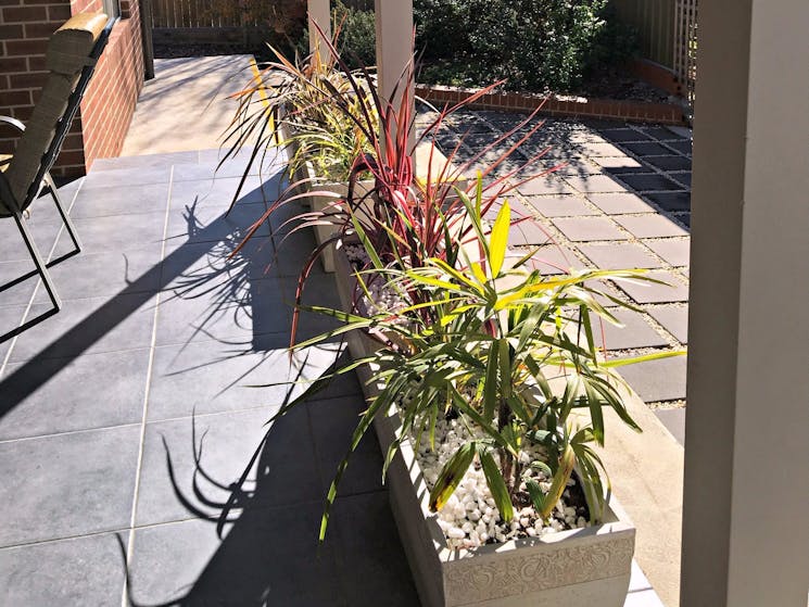 Plants on patio