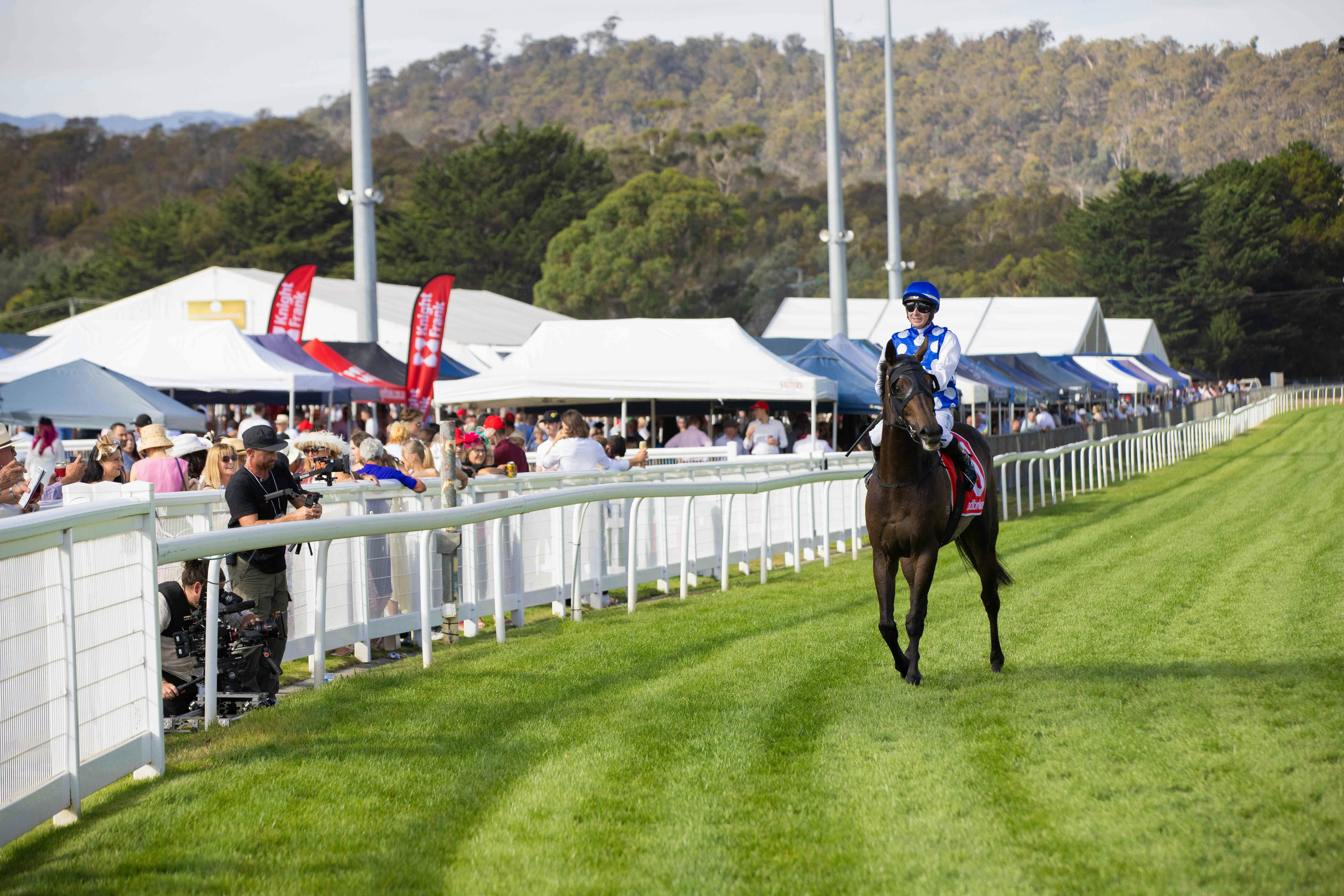 SEN Punters Marquee