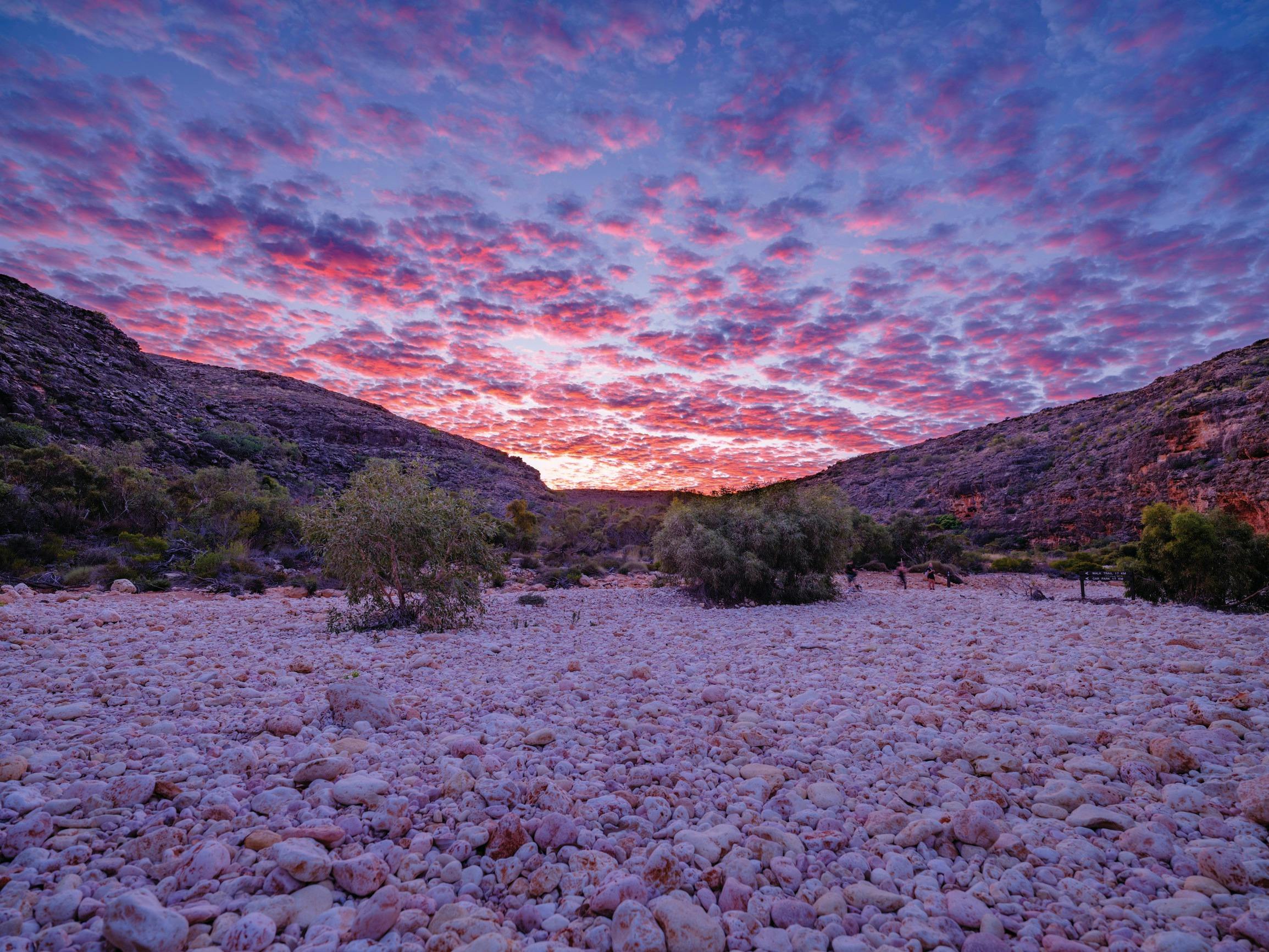 Cape Range Wildflower Trail, Exmouth, Western Australia
