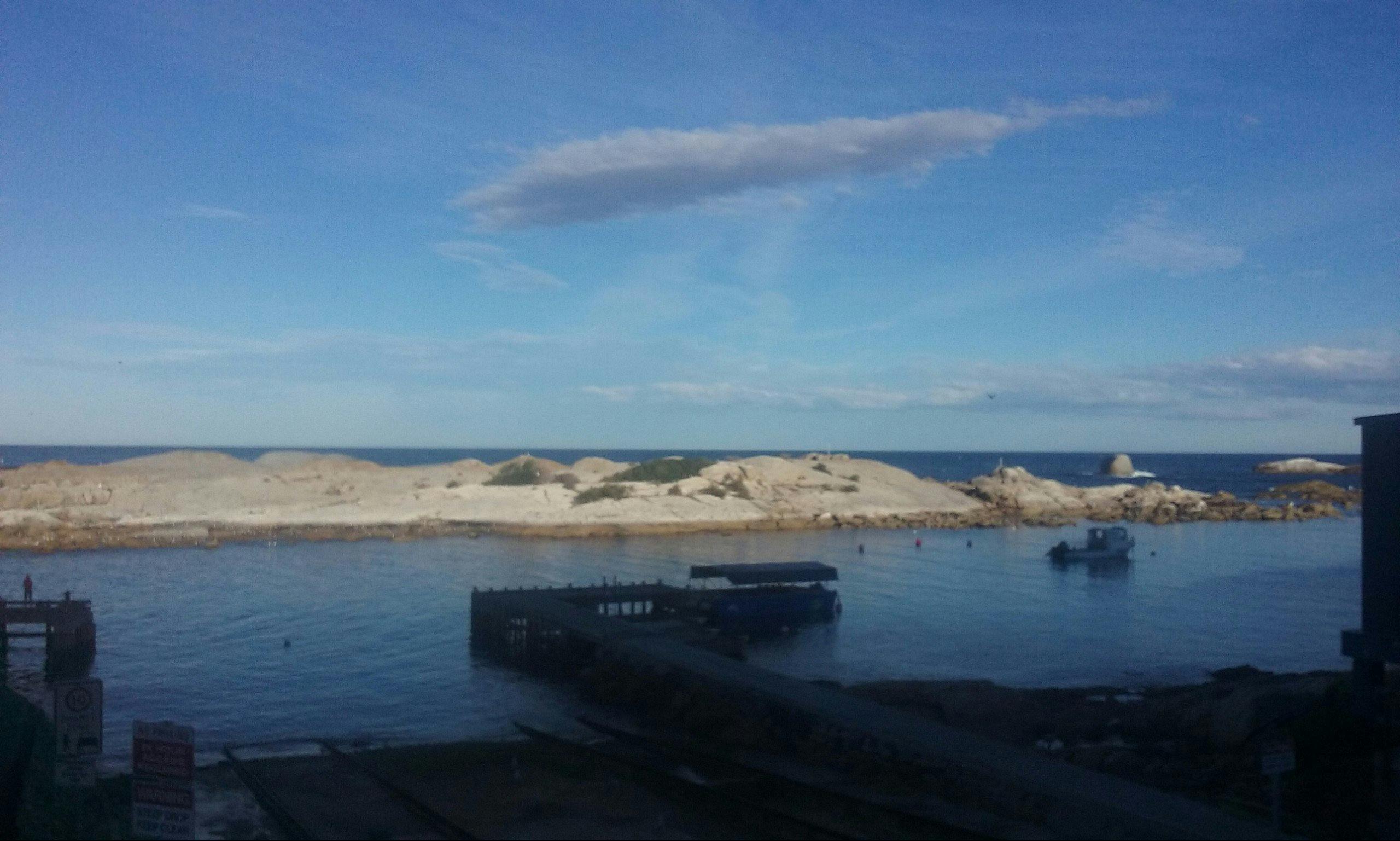 Gulch- view from office