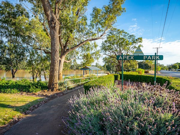 Gardens along the River Walkway in St George Gardens along the River Walkway in St George