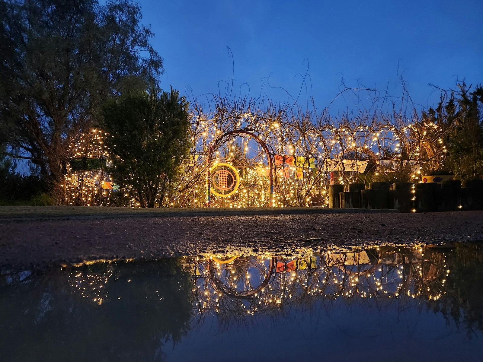 A garden arbour with bare winter twigs is decorated with fairy lights and colourful scarves.
