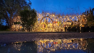 A garden arbour with bare winter twigs is decorated with fairy lights and colourful scarves.