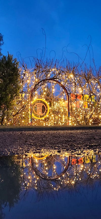 A garden arbour with bare winter twigs is decorated with fairy lights and colourful scarves.