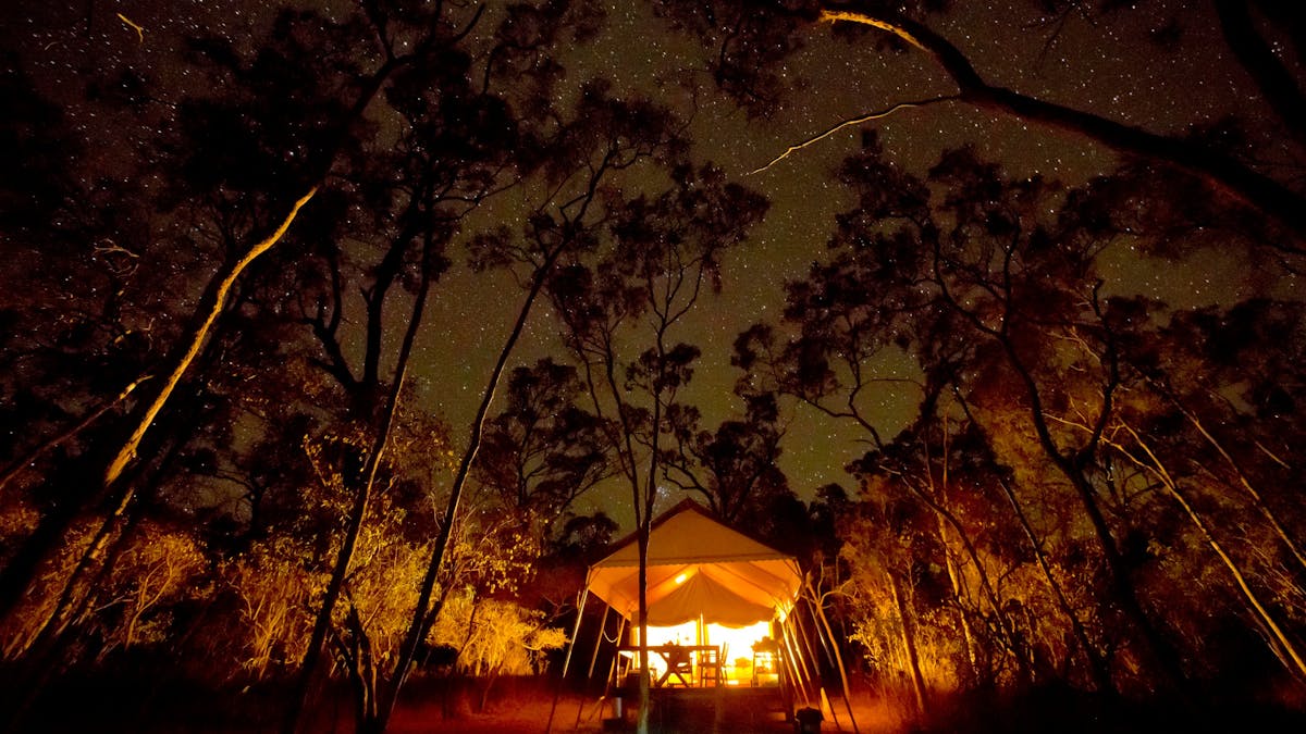 a starry night view of the boutique safari-style tent