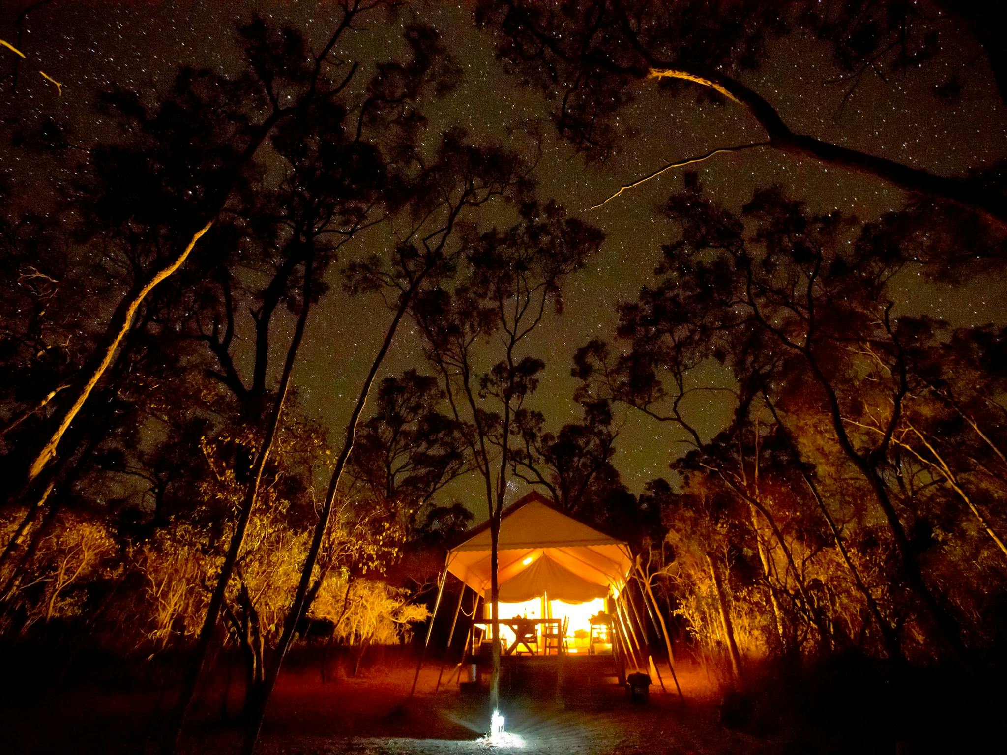a starry night view of the boutique safari-style tent a starry night view of the boutique safari-style tent