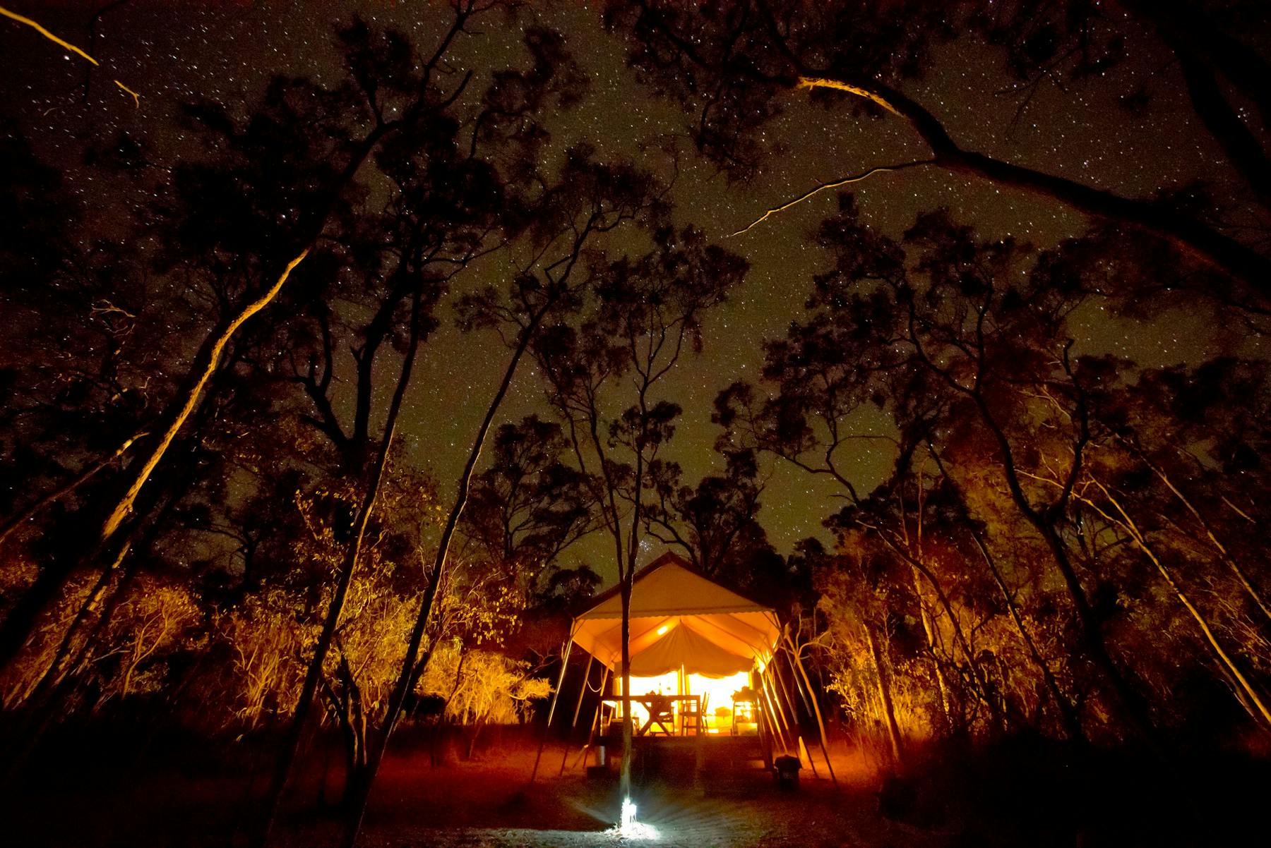 a starry night view of the boutique safari-style tent