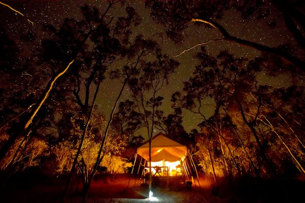 a starry night view of the boutique safari-style tent