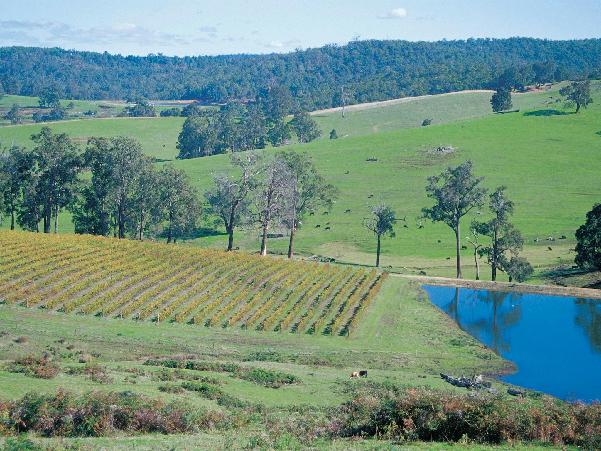Farmlands in the Ferguson Valley