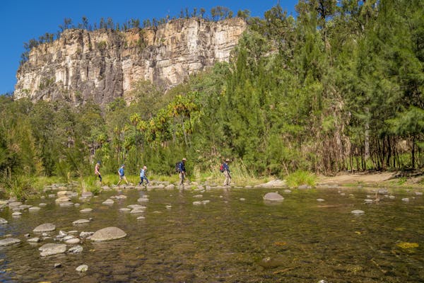 Carnarvon Gorge Eco Tours