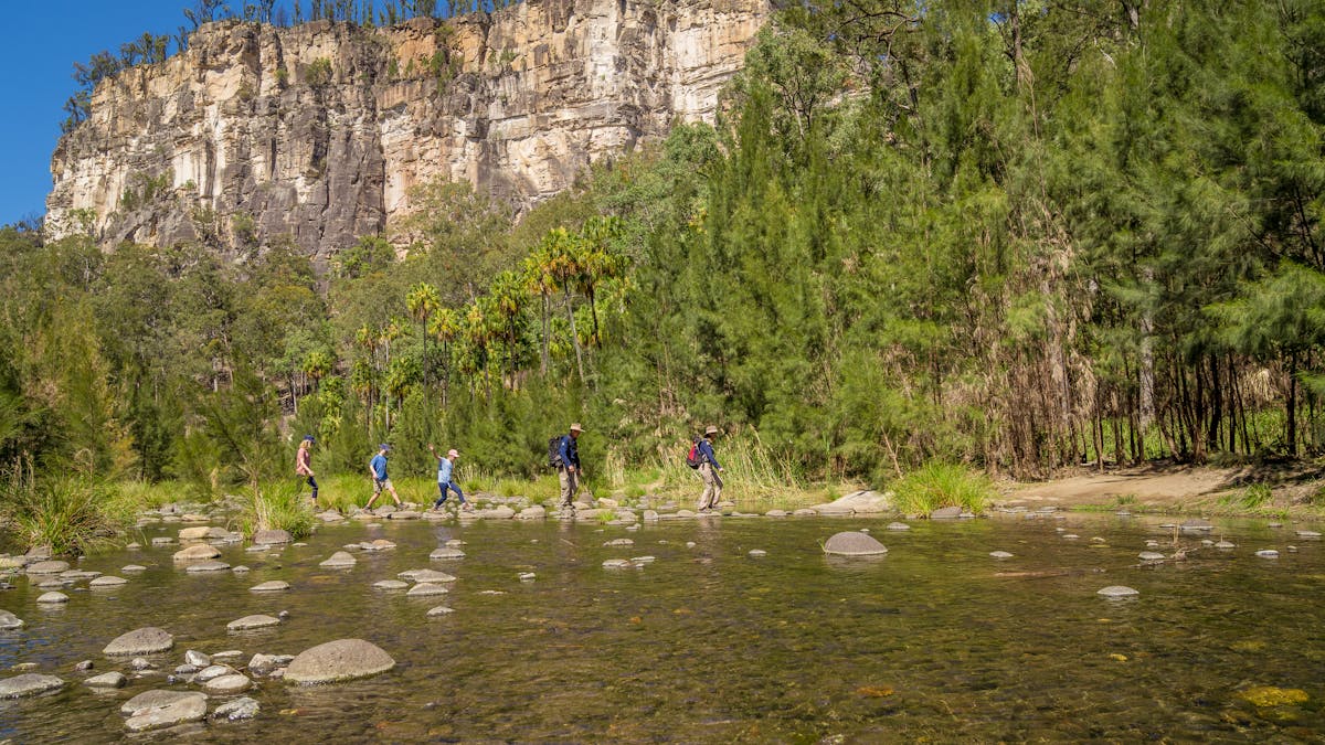 Tour group crosses a crystal clear creek at Carnarvon Gorge, with soaring sandstone cliffs behind.