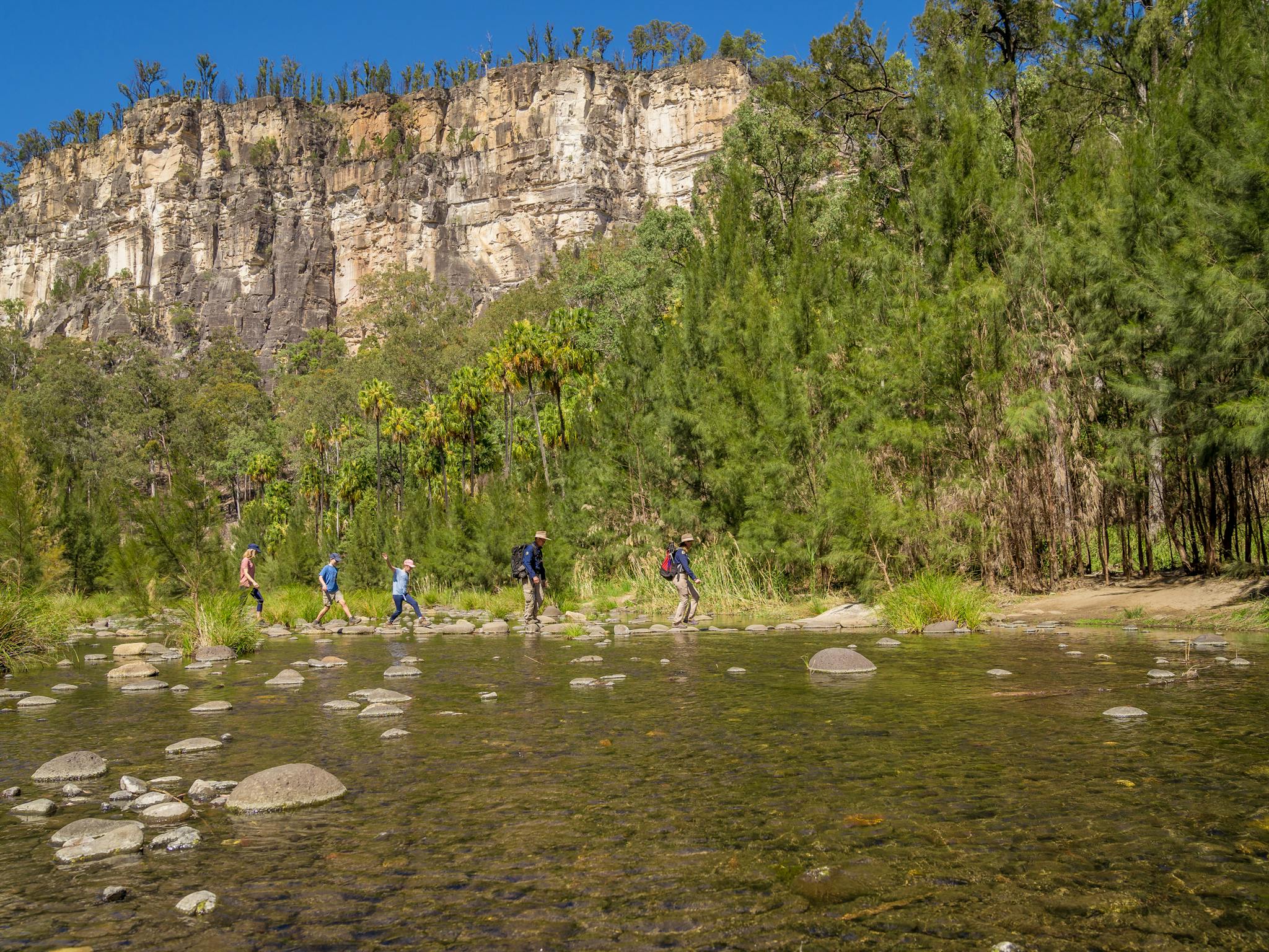 Tour group crosses a crystal clear creek at Carnarvon Gorge, with soaring sandstone cliffs behind.