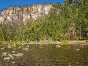 Tour group crosses a crystal clear creek at Carnarvon Gorge, with soaring sandstone cliffs behind.