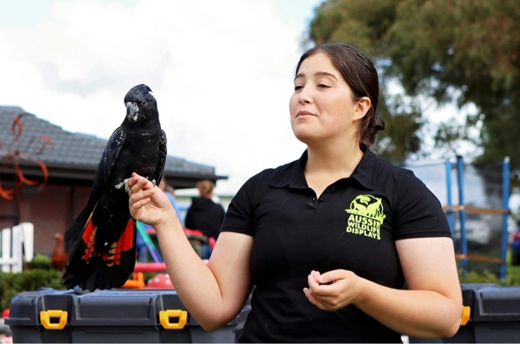 Female in black shirt holding red tail black cockatoo on her arm.