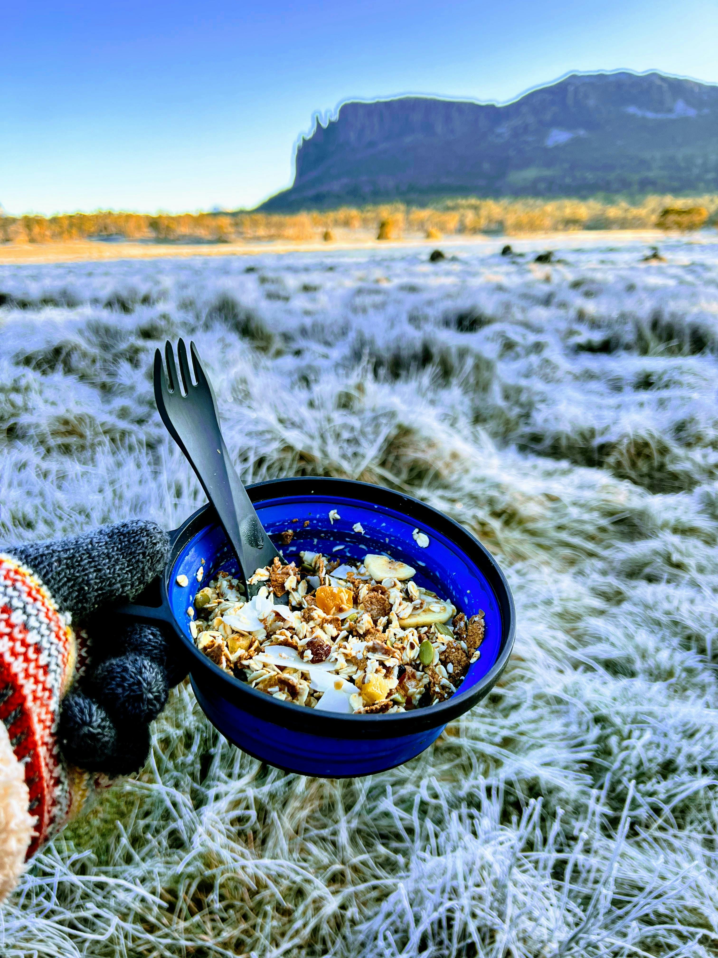 Strive Meals available for Purchase