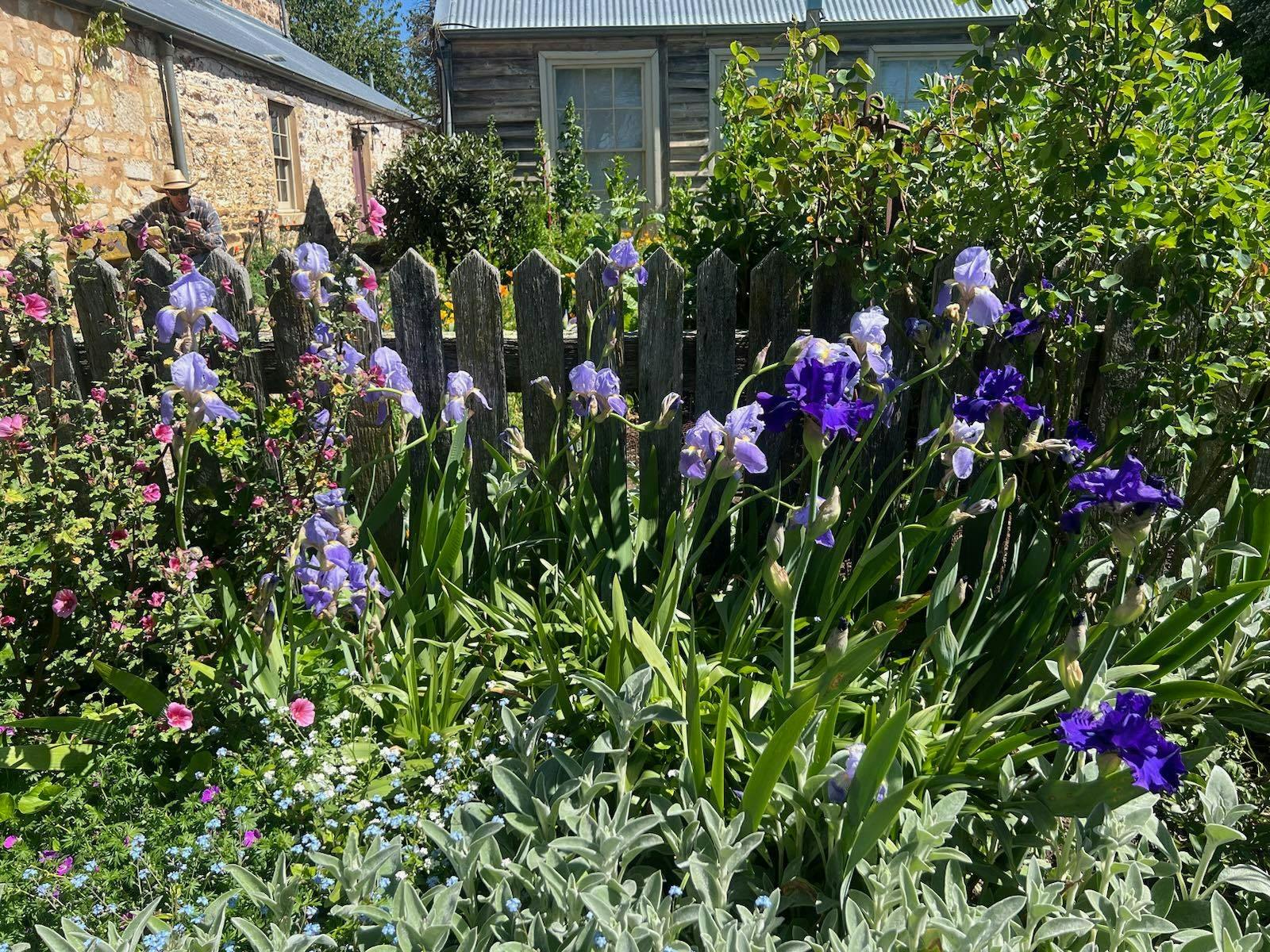 garden