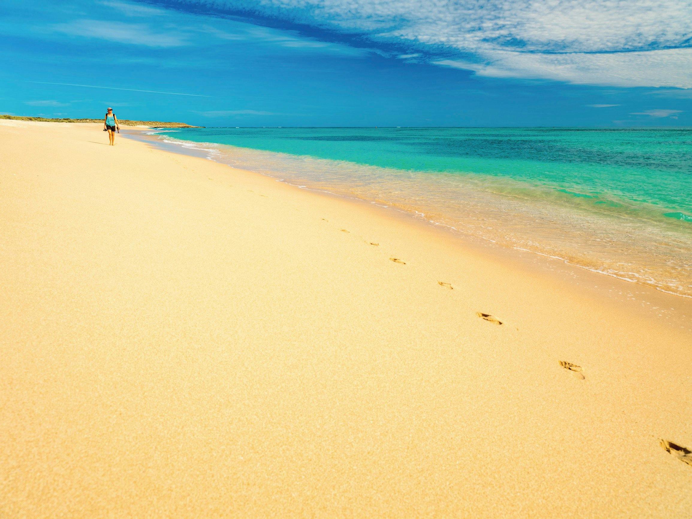 Coral Coast Wildlife, Exmouth, Western Australia