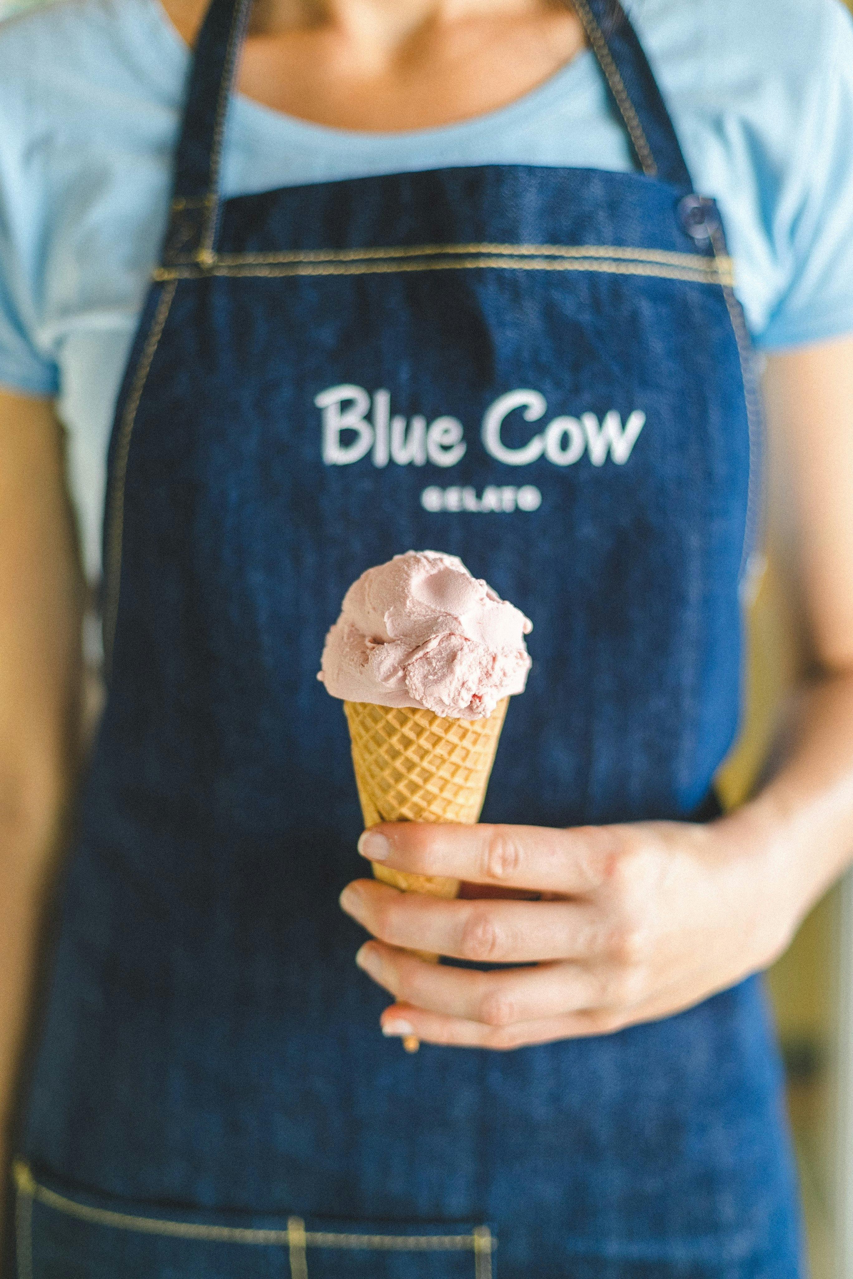 Blue Cow Gelato NSW Holidays & Things to Do