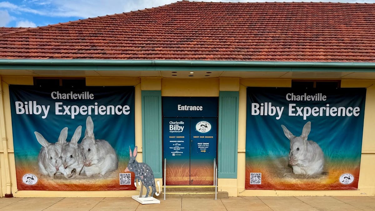 Exterior of the Charleville Bilby Experience building featuring large bilby banners & entrance sign. Exterior of the Charleville Bilby Experience building featuring large bilby banners & entrance sign.