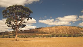 Mount Stirling