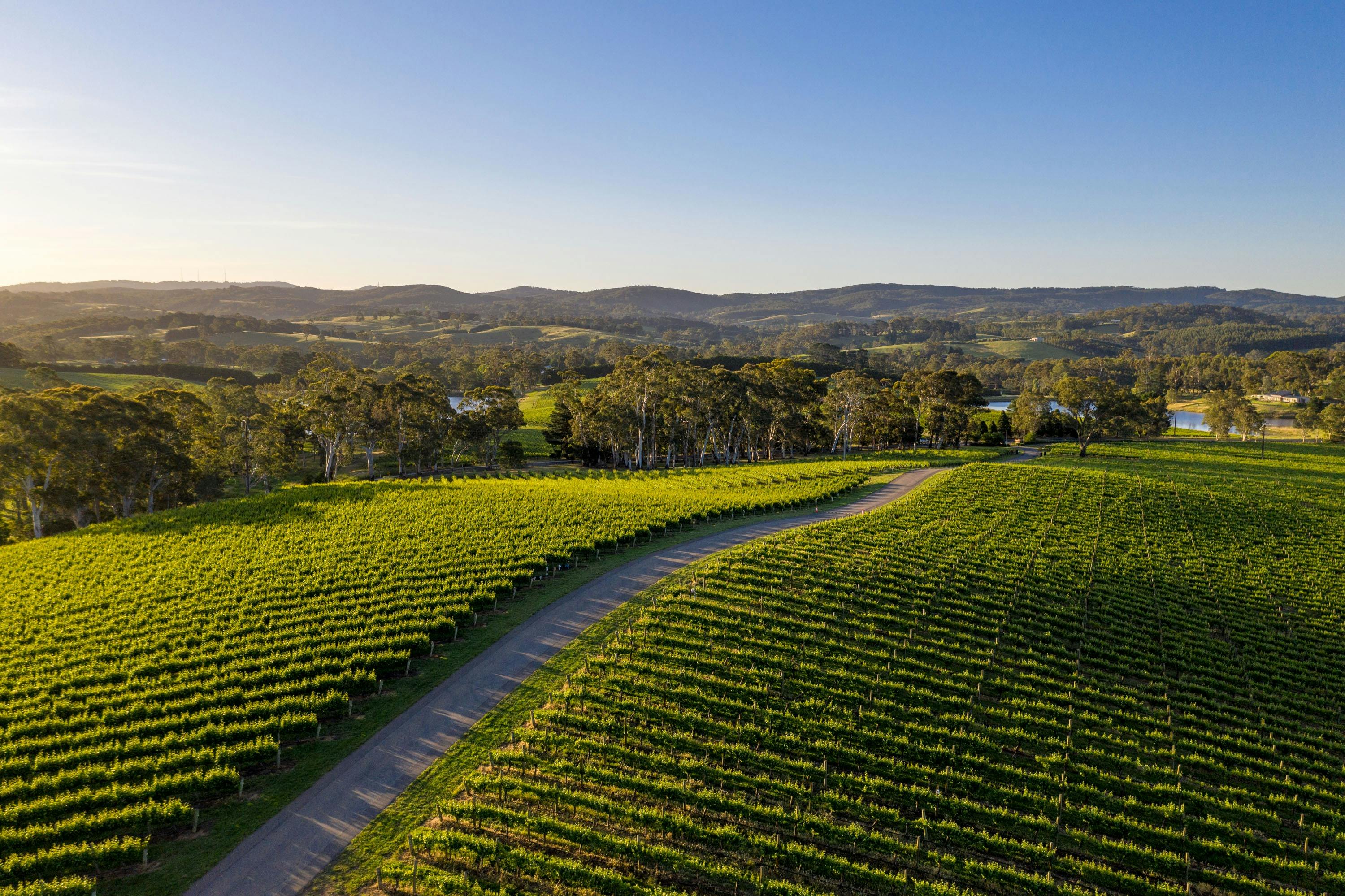 Nepenthe Vineyards