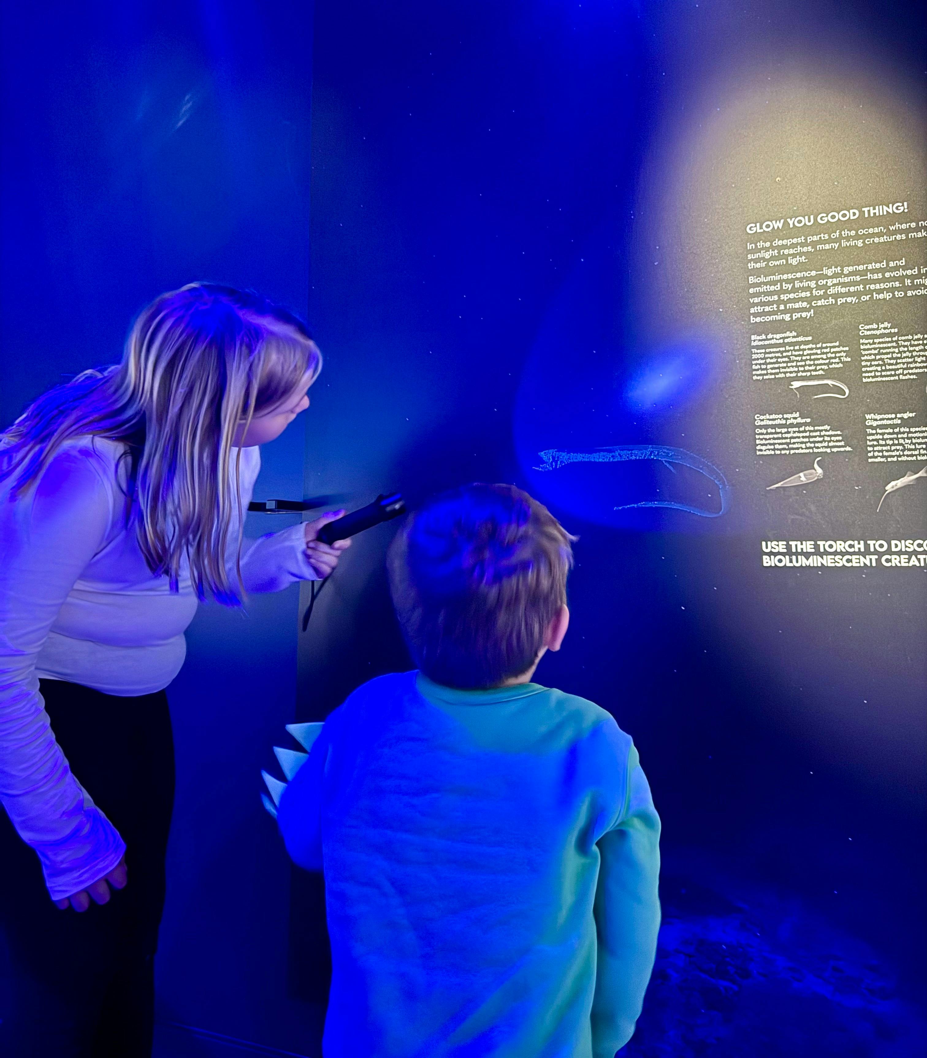 Child at Marine Discovery Centre