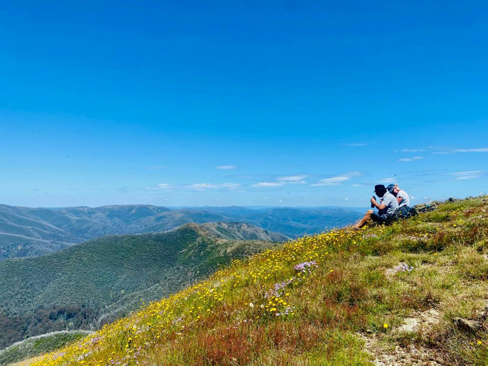 Victorian High Country