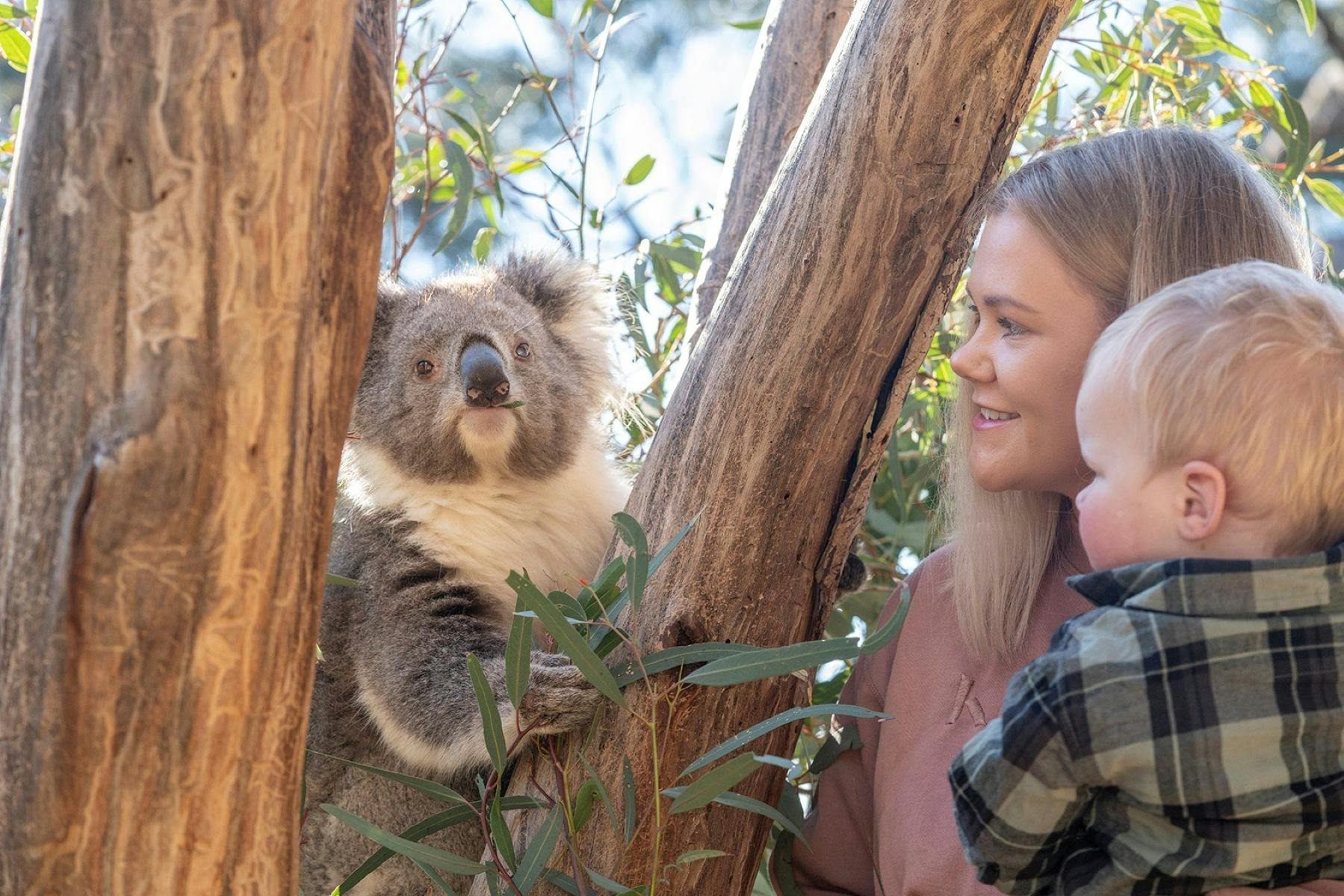 Kyabram Fauna Park