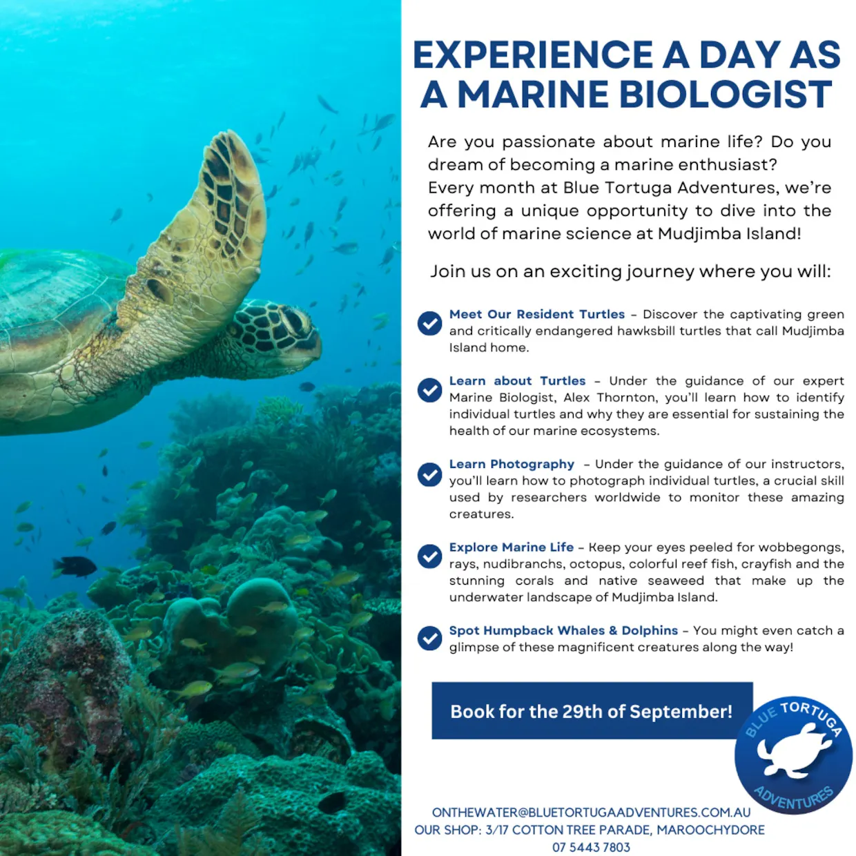 Experience a day as a Marine Biologist!