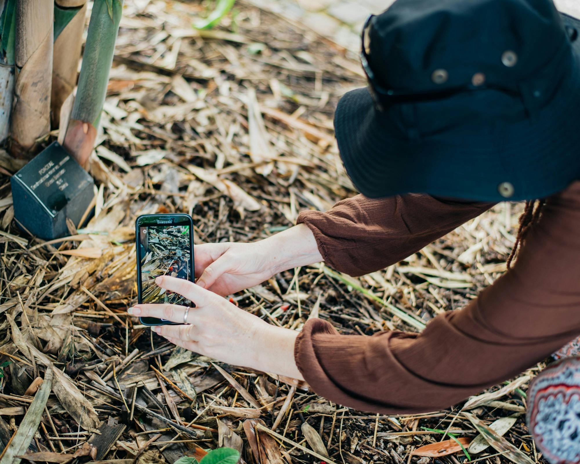 You can get great photos with your smartphone