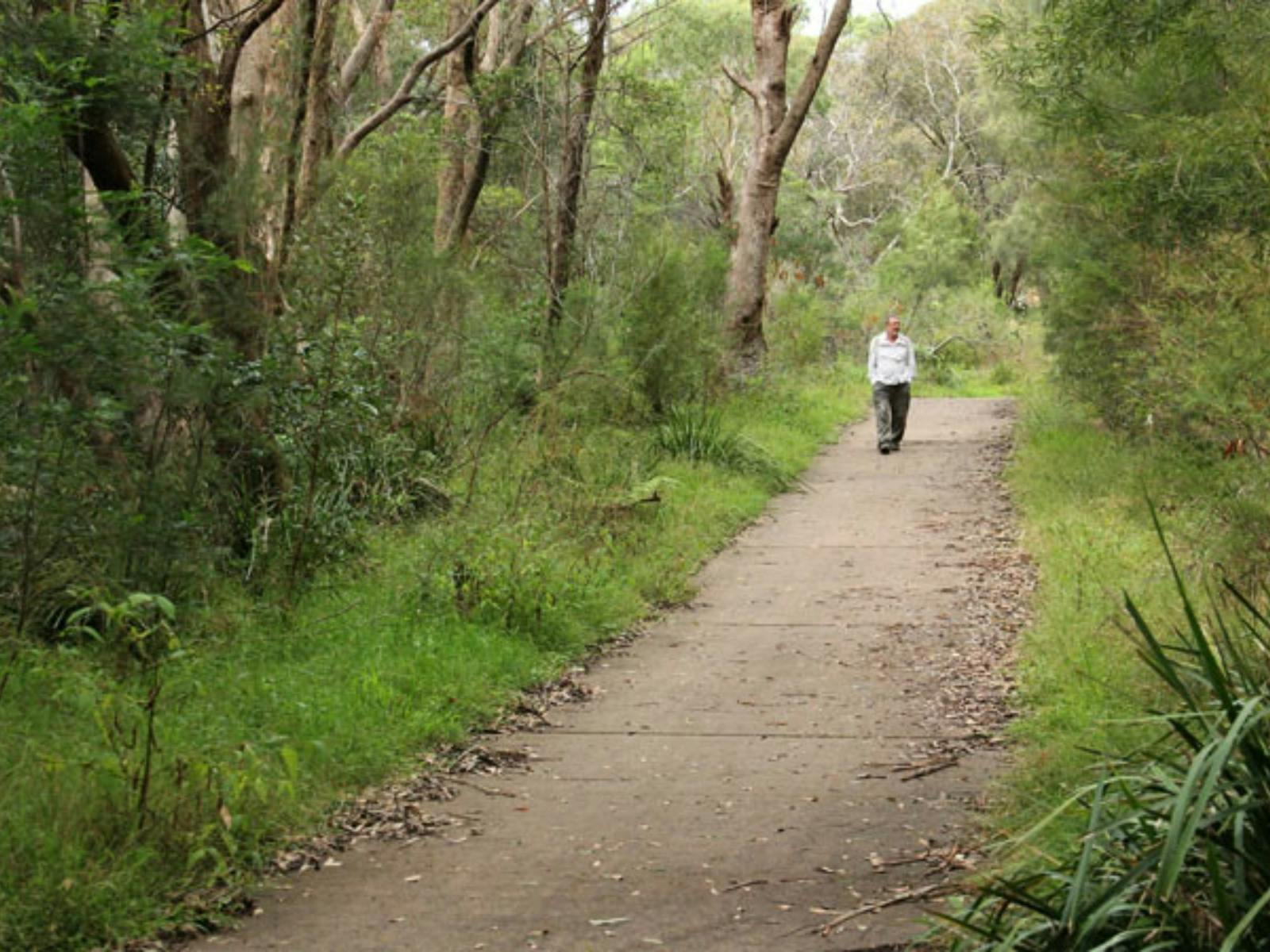 Bellamy fire trail