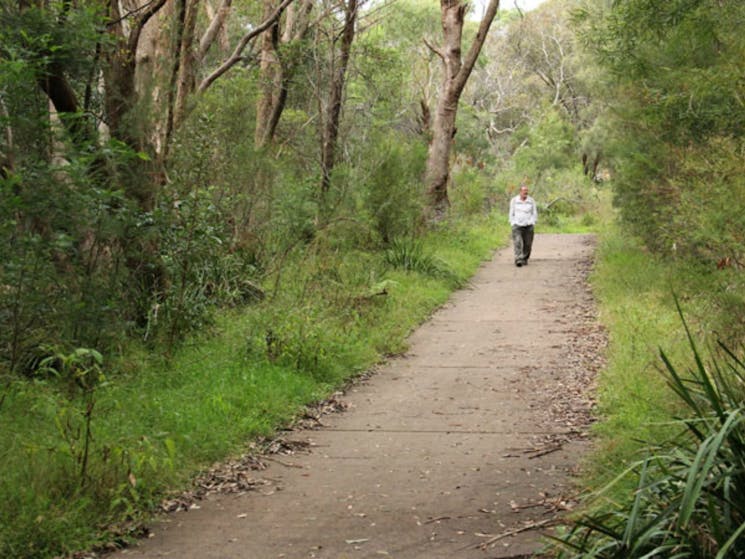 Bellamy fire trail