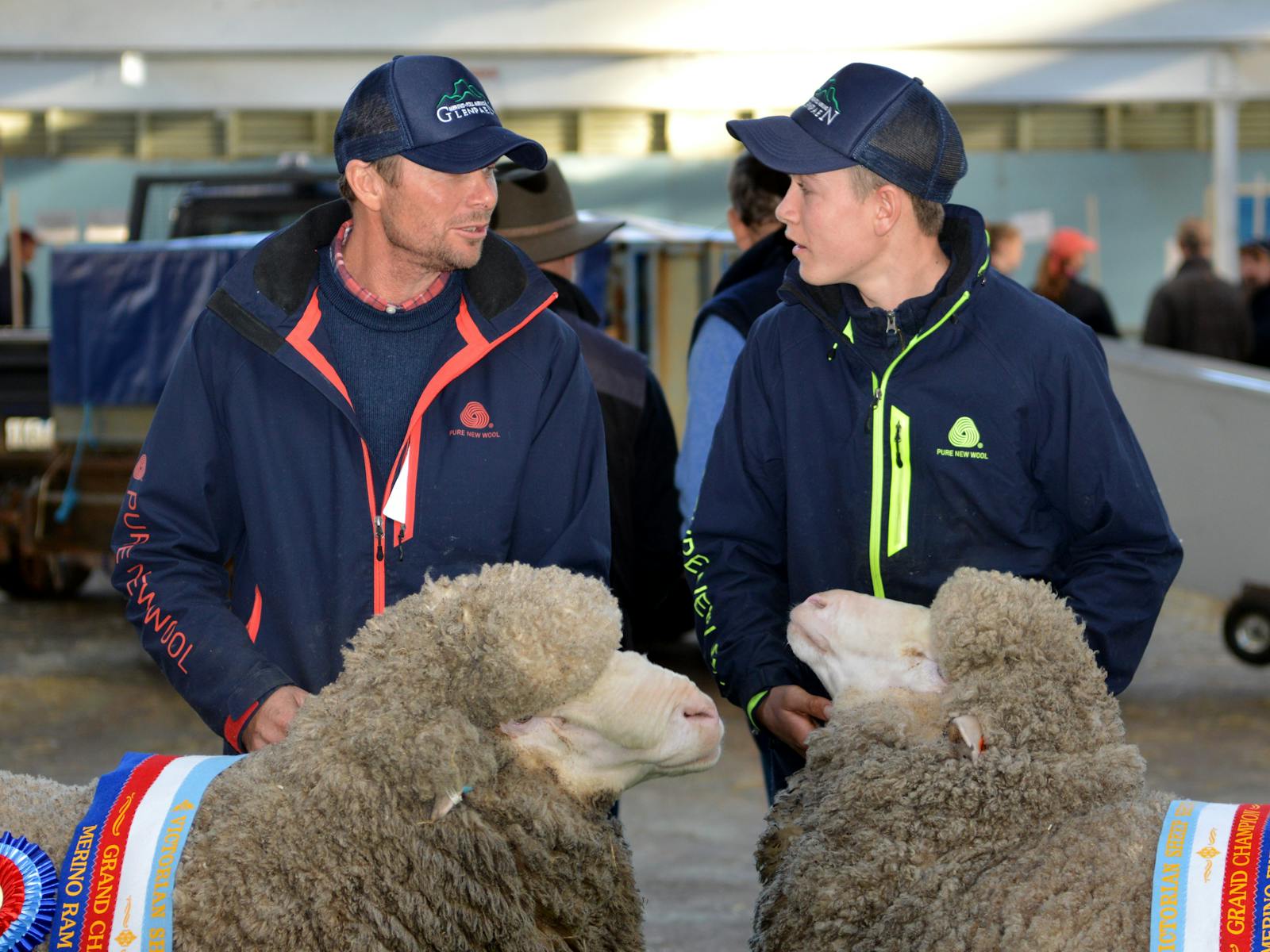 Image for 2022 Victorian Sheep Show