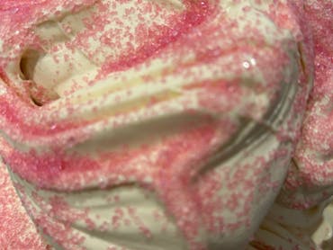 sample of gelato made in store