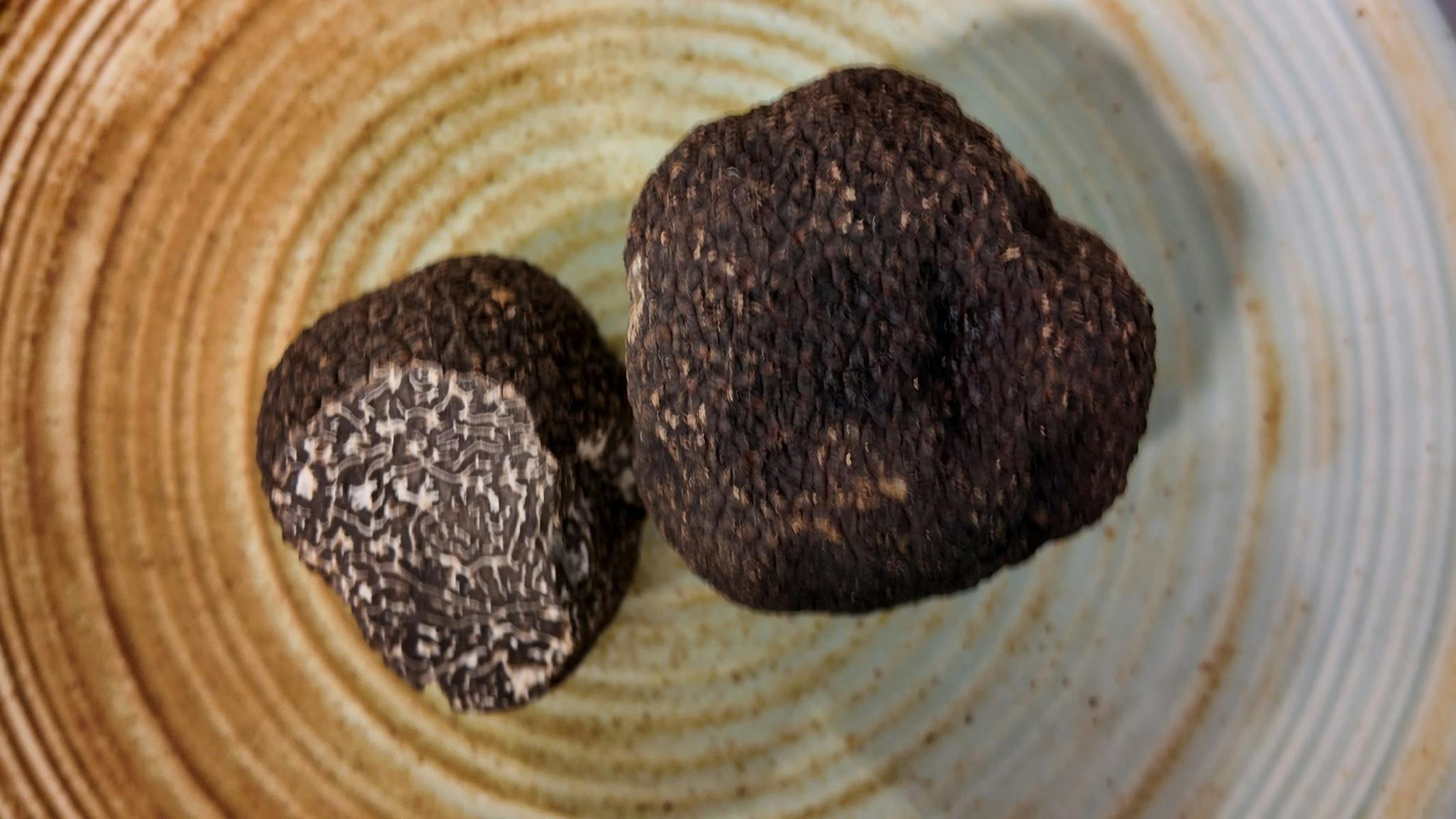 Truffle