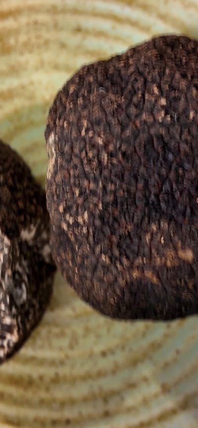 Truffle