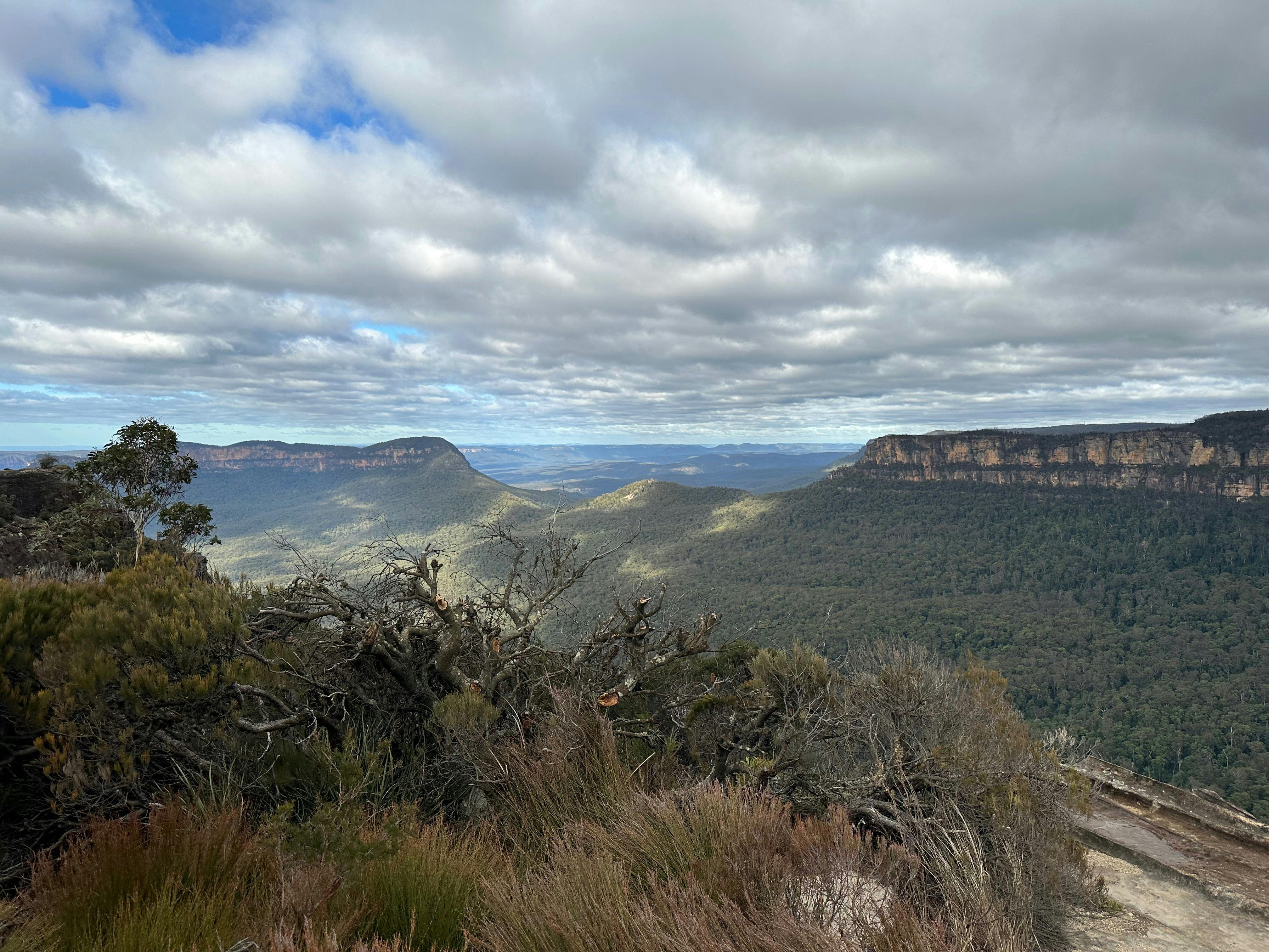 ジャミソンバレー