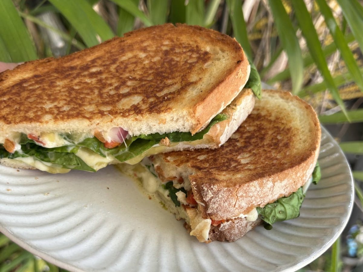 A toasted sandwich cut in half, showing layers of melted cheese and fresh salad greens.