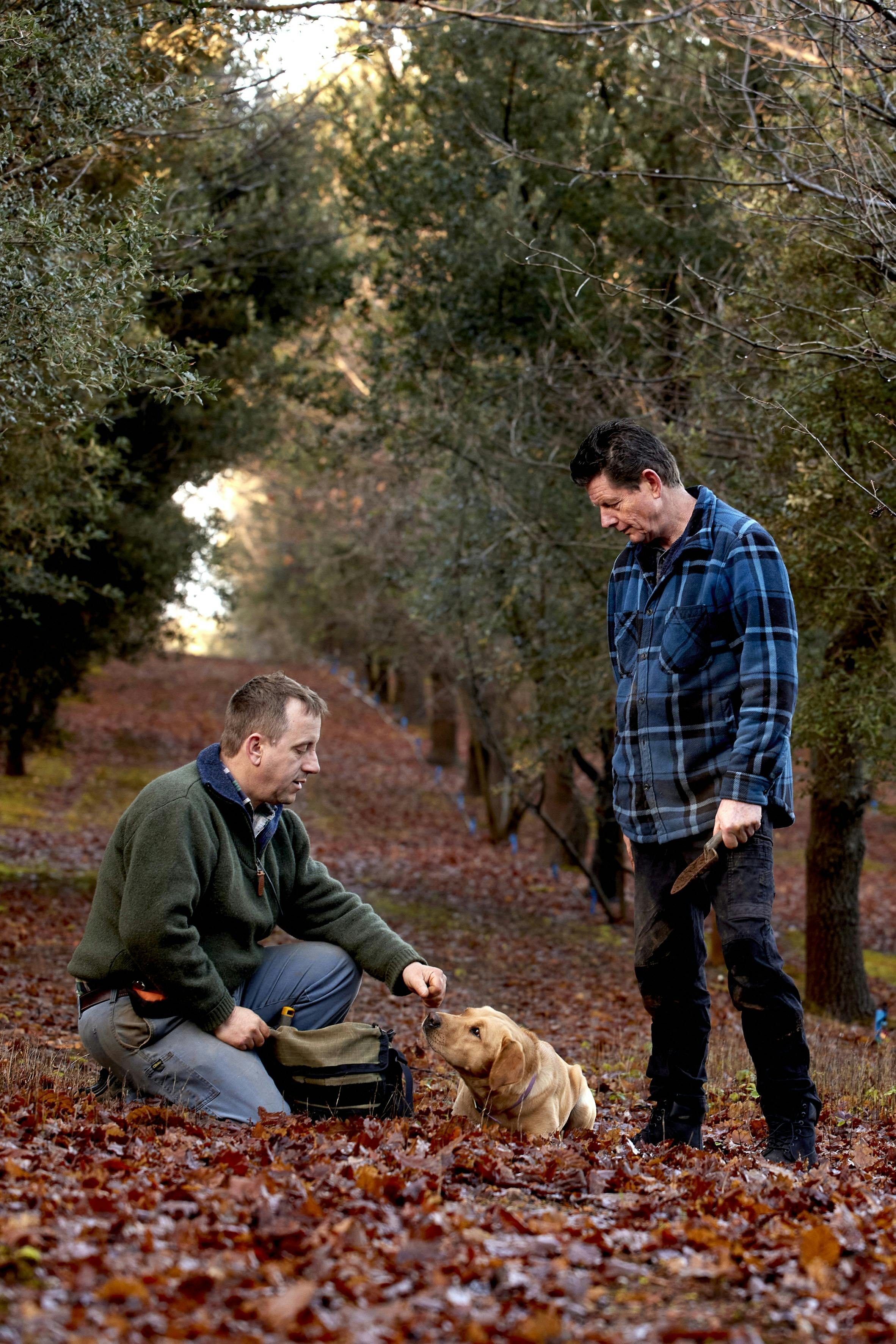 Hound and Hunter Fine Foods