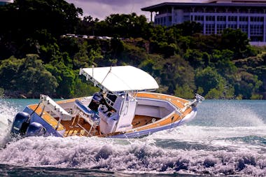 Barra or Blue Fishing Charters